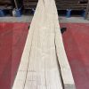 sweet chestnut 204