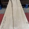 sweet chestnut 204