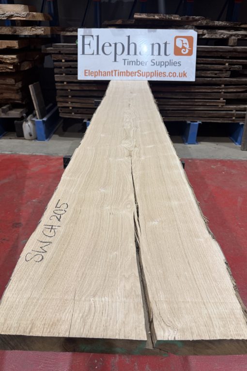 sweet chestnut 205
