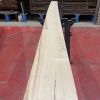 sweet chestnut 207