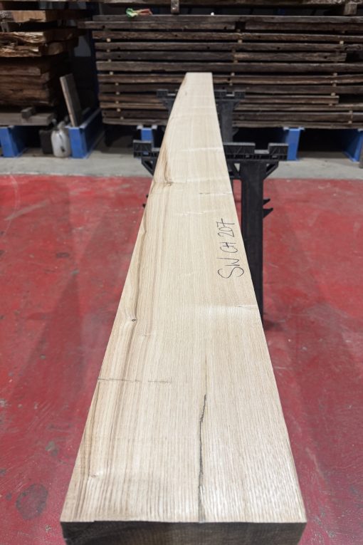 sweet chestnut 207