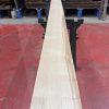 sweet chestnut 207