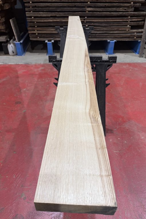 sweet chestnut 207