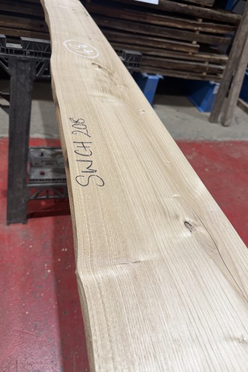 sweet chestnut 206