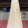 sweet chestnut 206