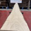 sweet chestnut 209