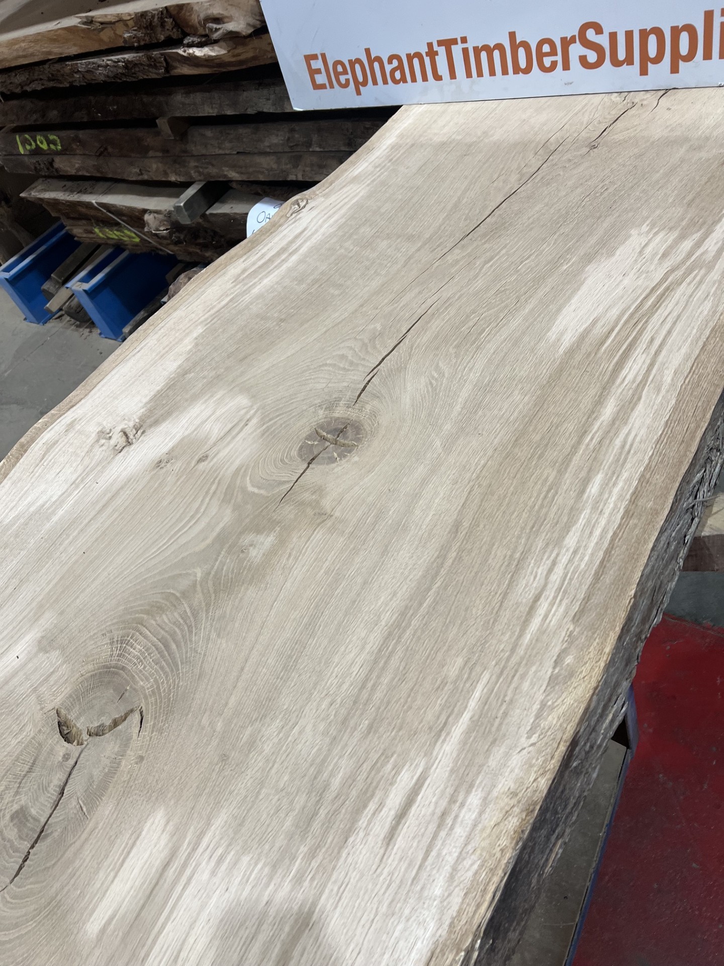 Oak 369