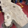 Oak 372