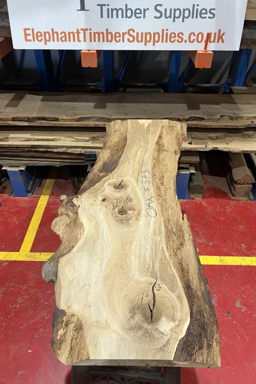 Oak 373