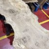 Oak 372