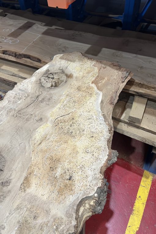 Oak 372