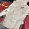 Oak 372