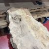 Oak 372