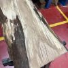 Oak 374