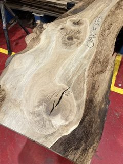 Oak 373