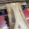 Oak 373
