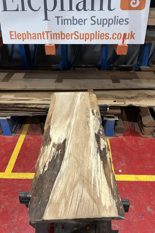 Oak 374