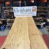 Oak TT 371