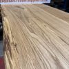 Oak TT 371