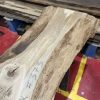 Oak 373