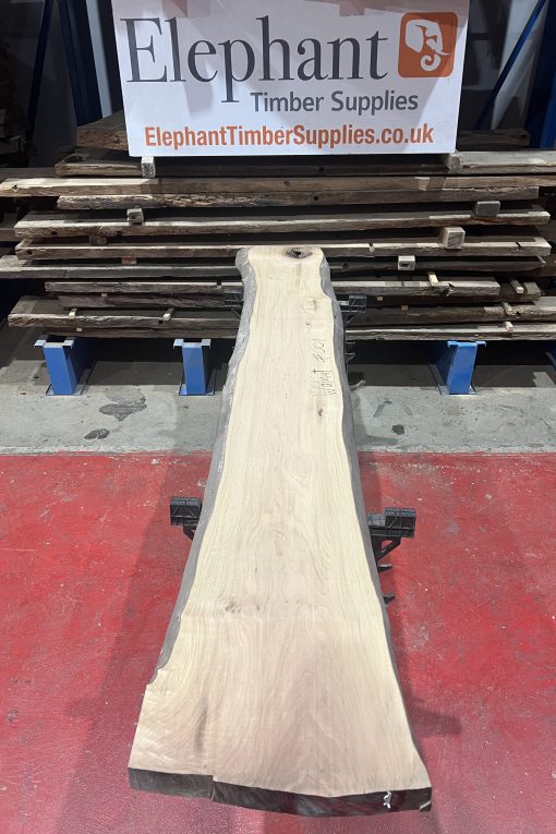 walnut 001