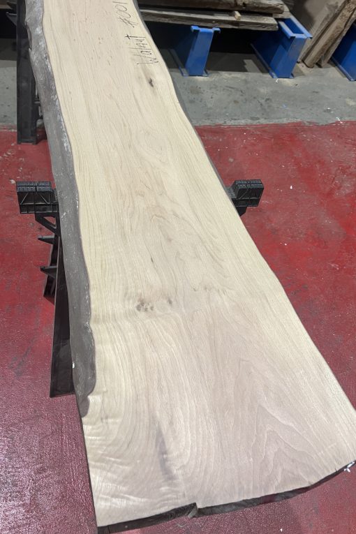 walnut 001