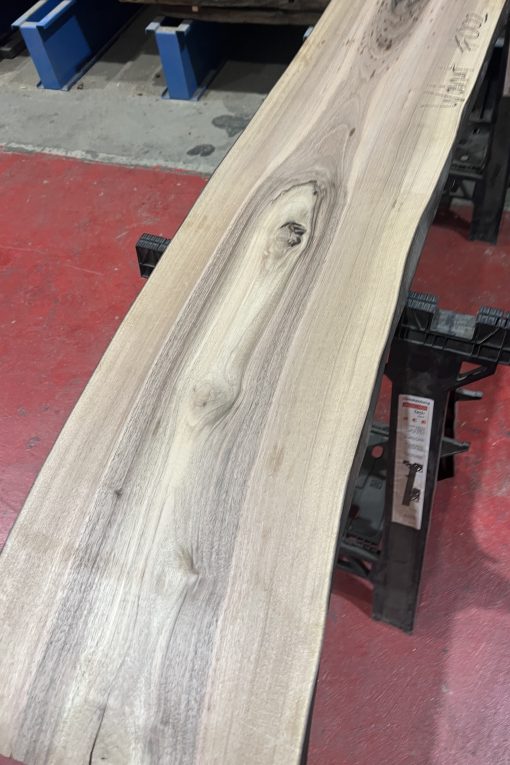 walnut 002
