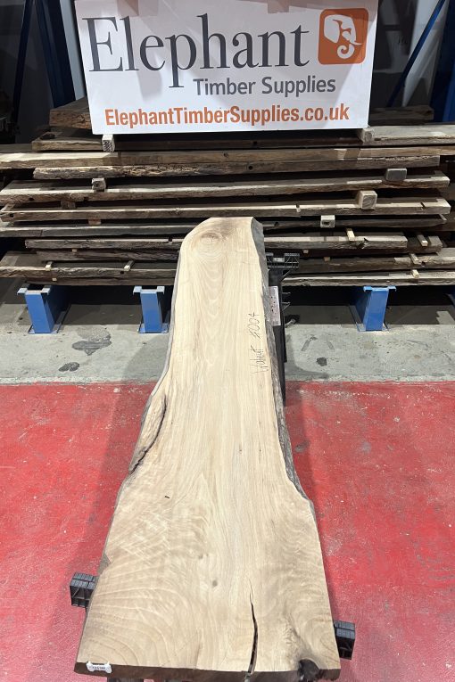walnut 004