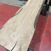 walnut 004