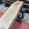 walnut 004