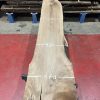 walnut 004