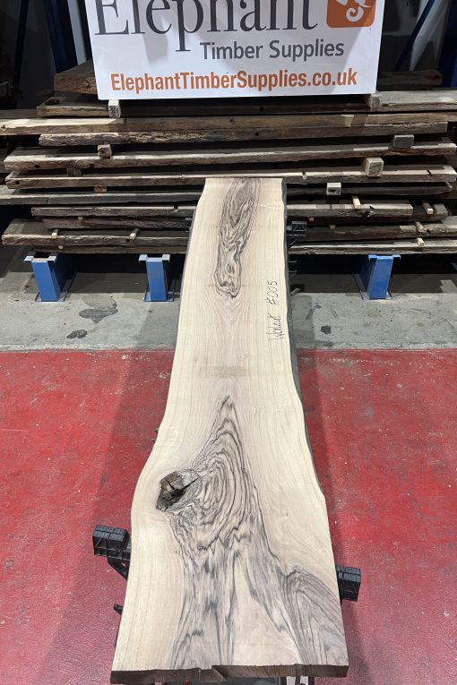 walnut 005