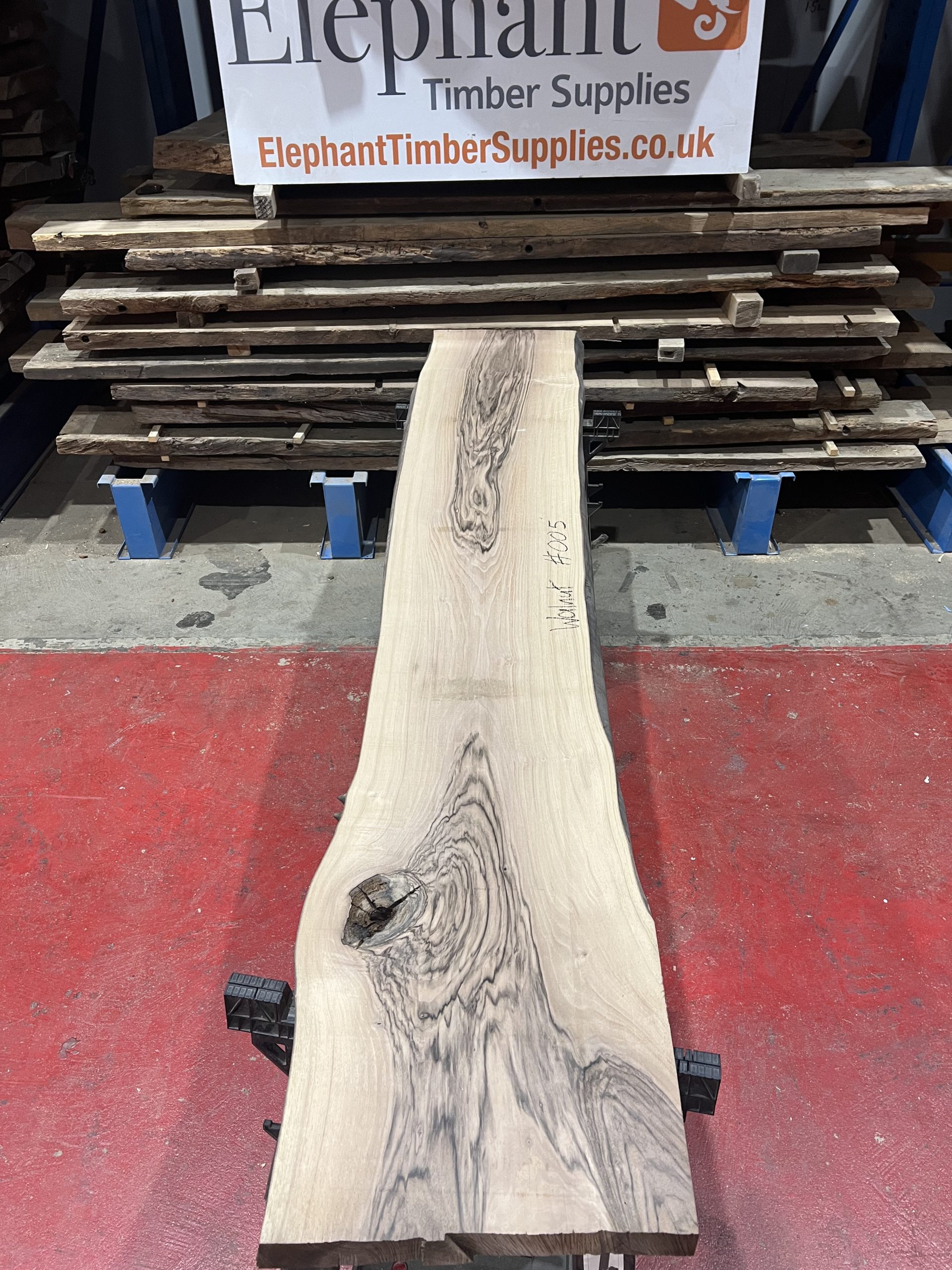 walnut 005
