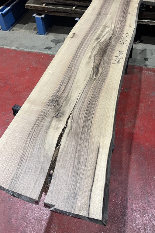 walnut 006