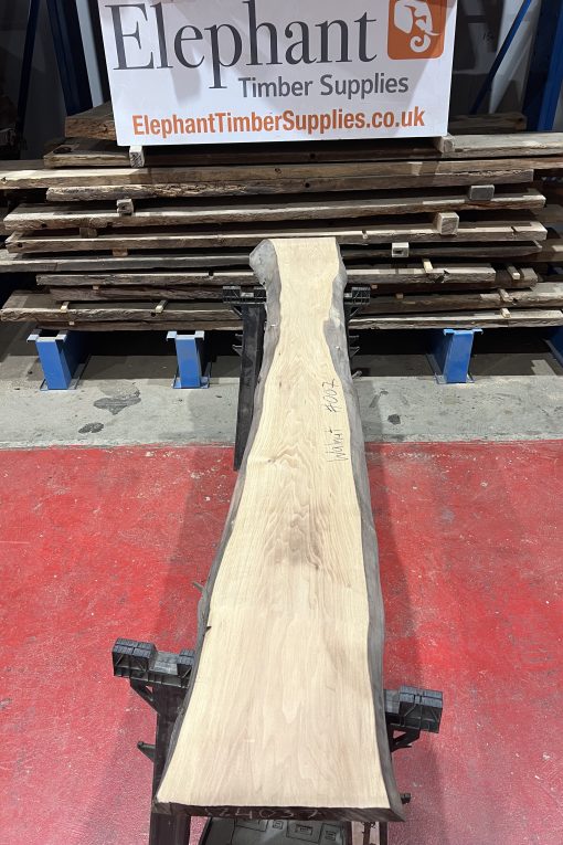 walnut 007