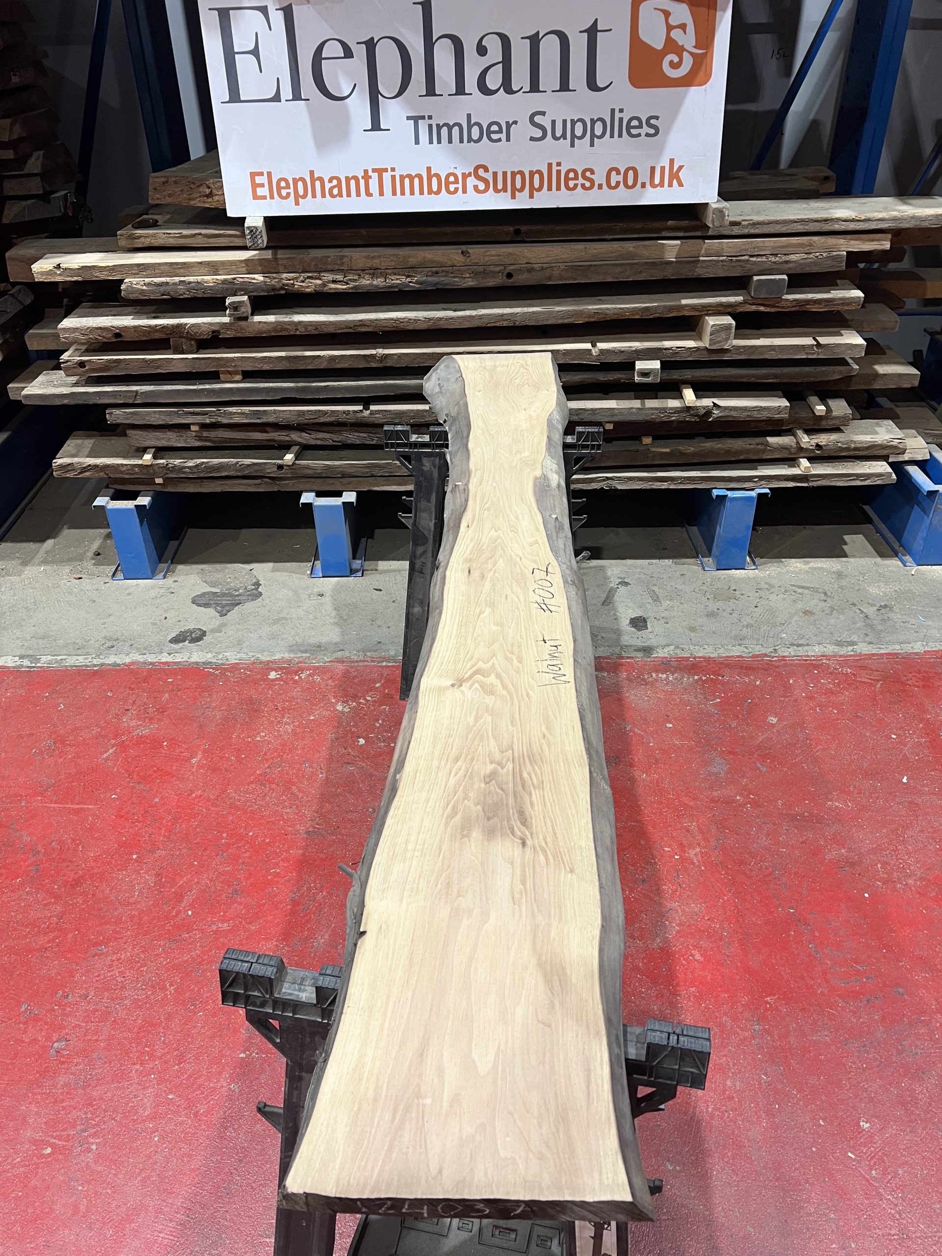 walnut 007