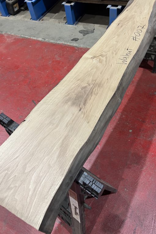 walnut 007