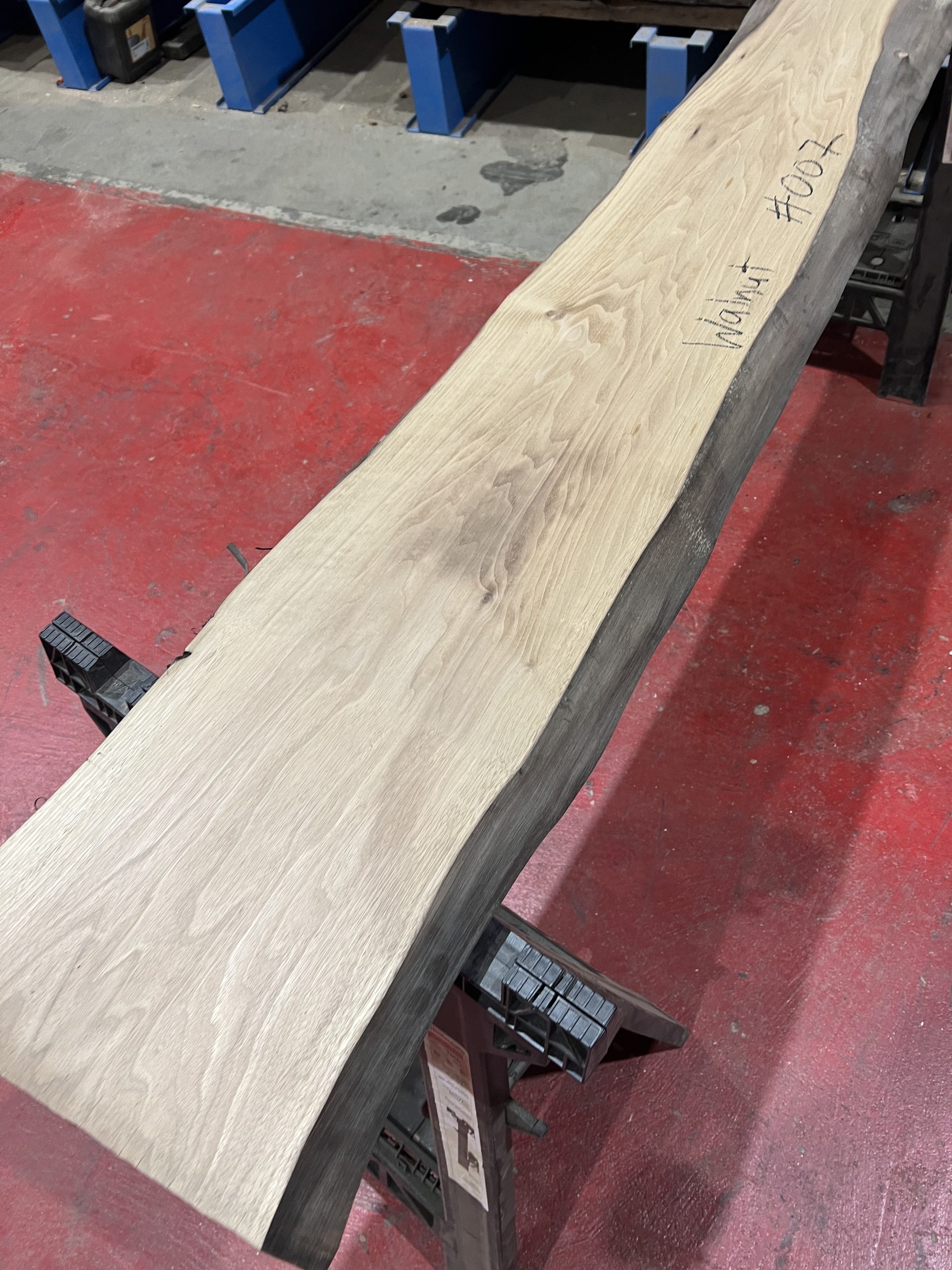 walnut 007