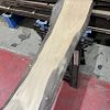 walnut 007