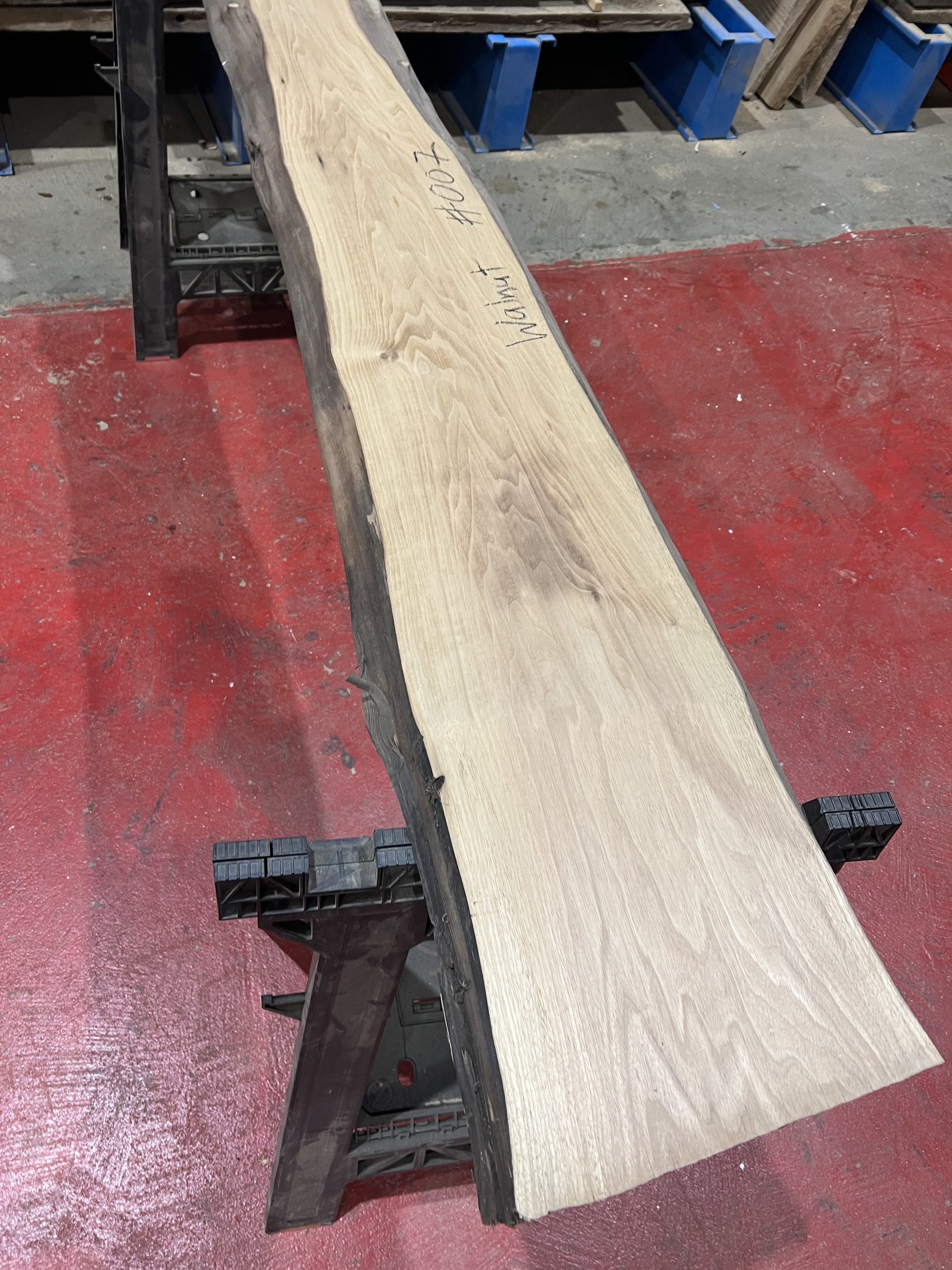 walnut 007