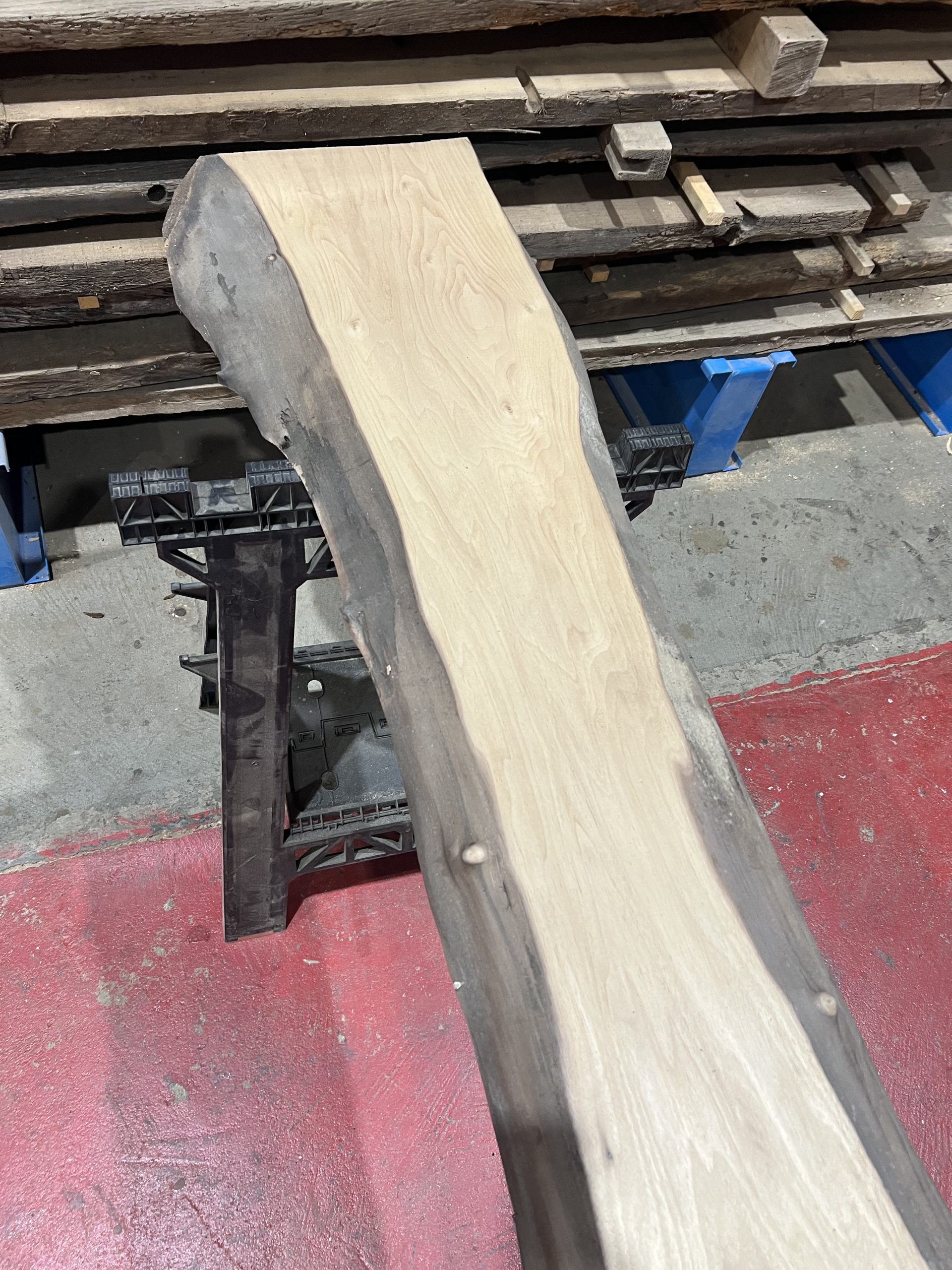 walnut 007