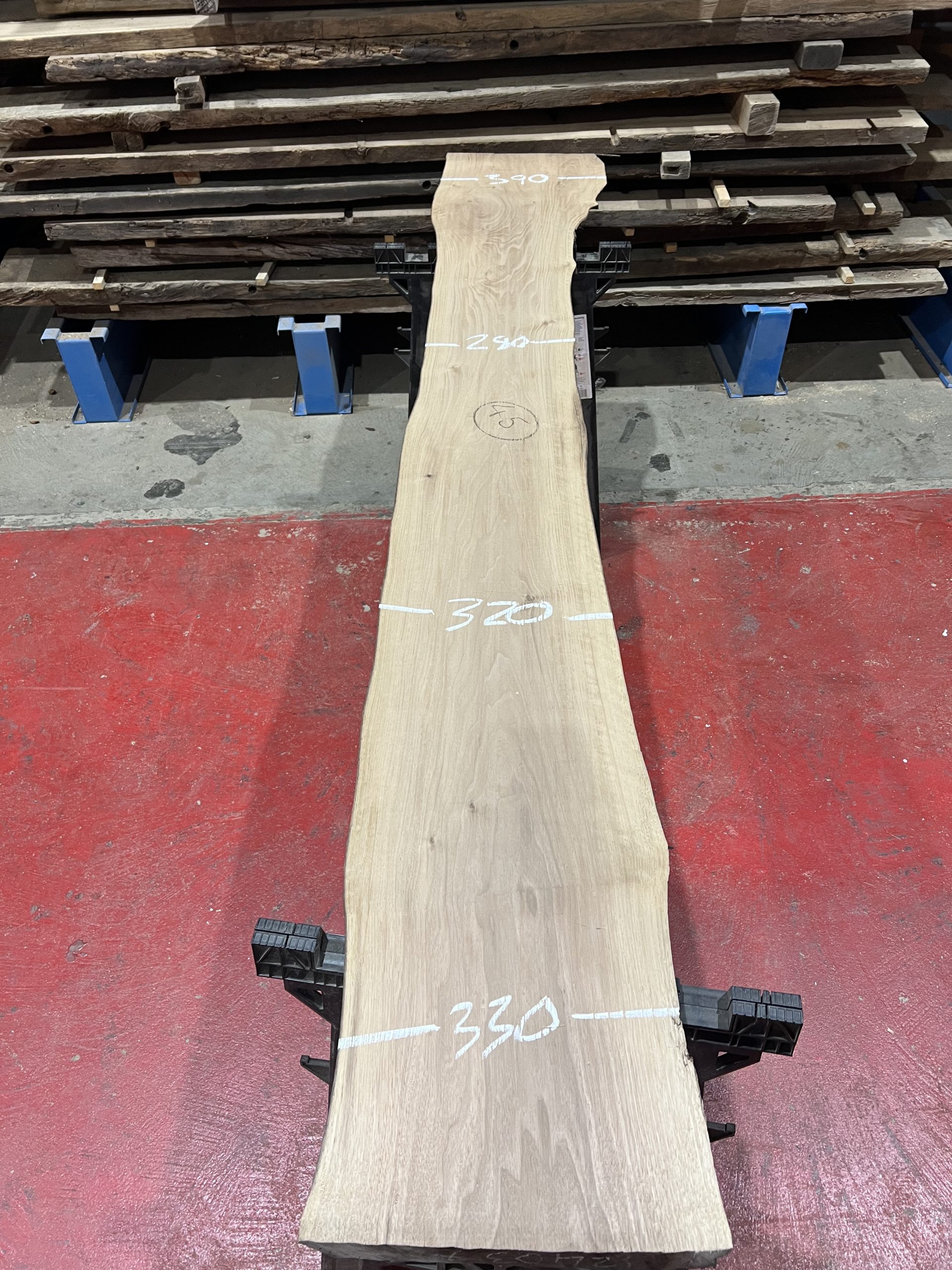 walnut 007
