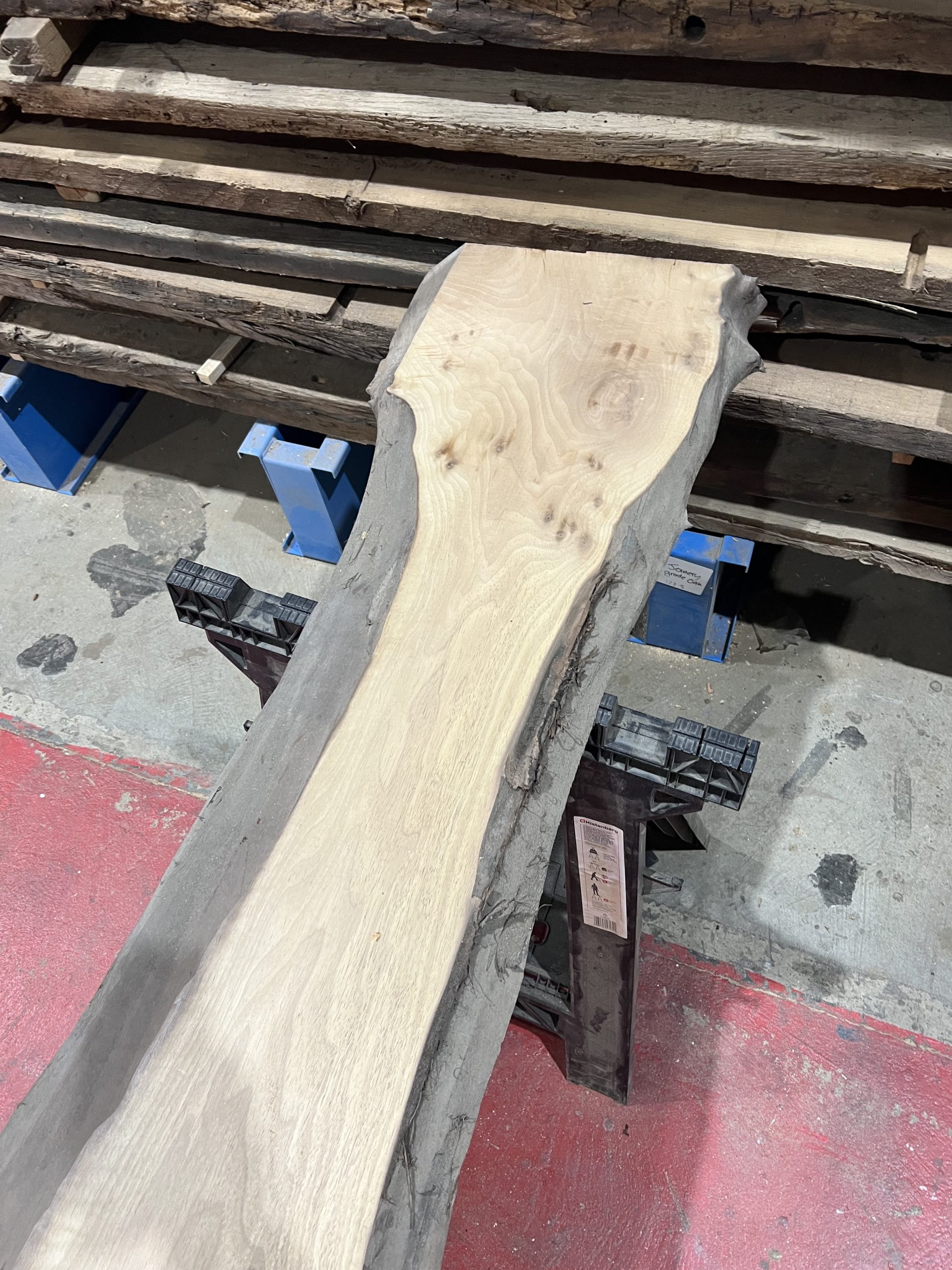 walnut 008