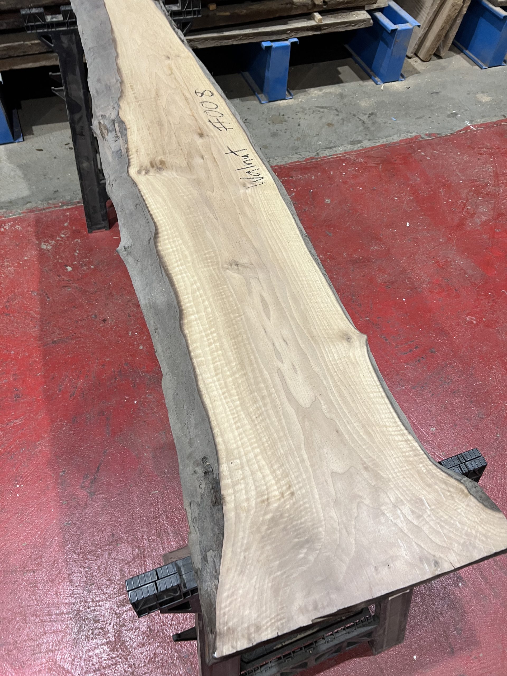 walnut 008
