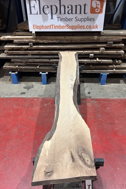 walnut 009