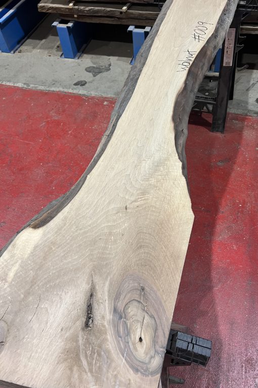 walnut 009