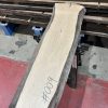 walnut 009