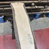 walnut 009