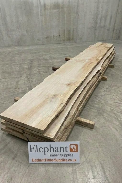 34mm sycamore.