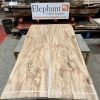 Elm bm pair 324
